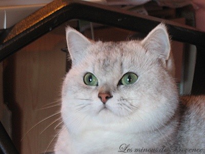 Vasy a 18 mois